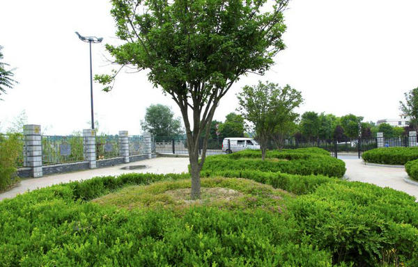 惠州清洁公司小区园林绿化