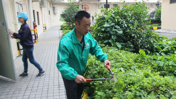 公司总部关于做好春节期间安全生产通知